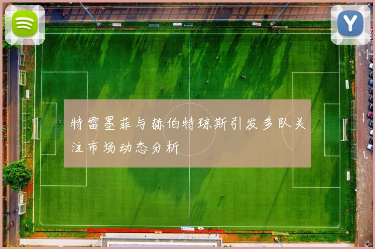 特雷墨菲与赫伯特琼斯引发多队关注市场动态分析