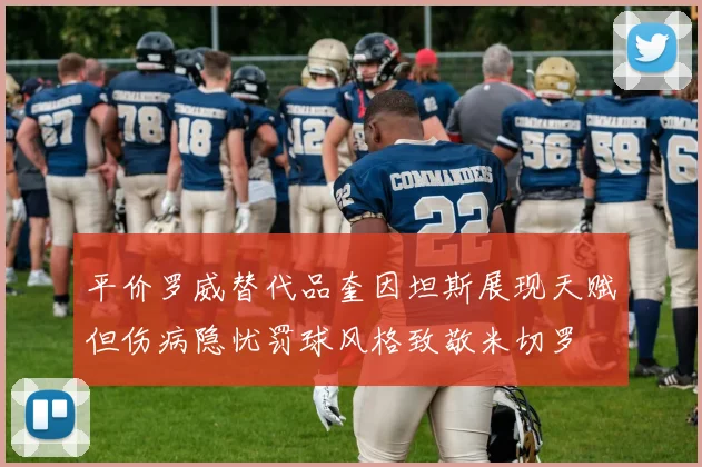 平价罗威替代品奎因坦斯展现天赋但伤病隐忧罚球风格致敬米切罗