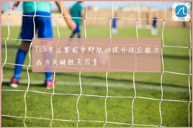 TES季后赛前中野联动提升适应能力成为关键胜负因素